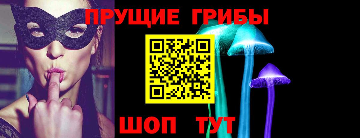 Торжок  Псилоцибиновые грибы мицелий  Вход с VPN 
